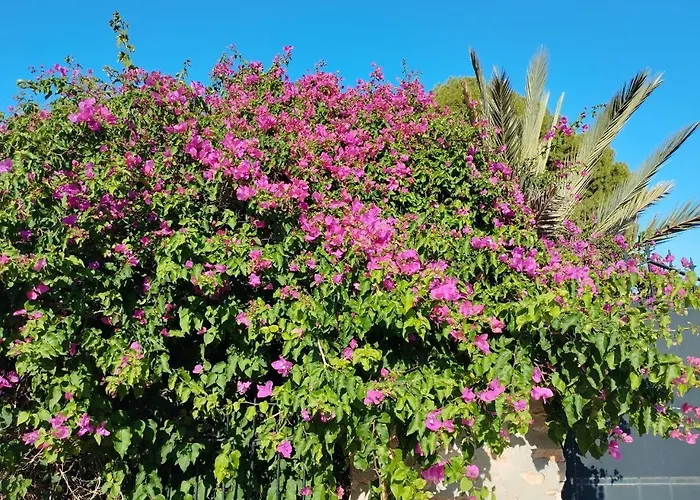 Marsol Recoleta 아파트 또레비에하