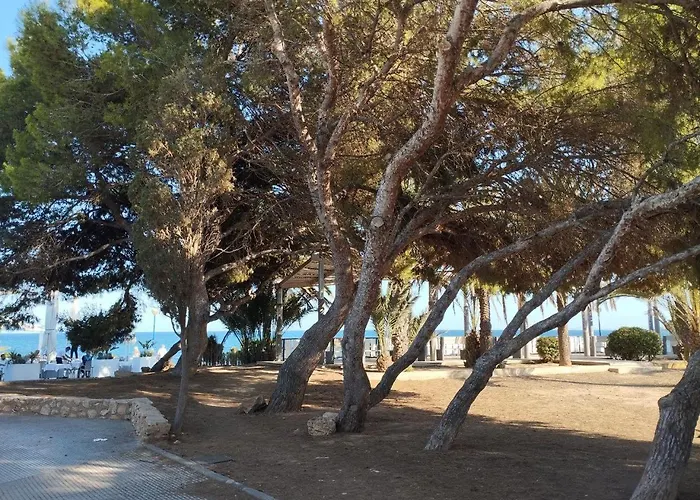 Διαμέρισμα Marsol Recoleta Τορεβιέχα