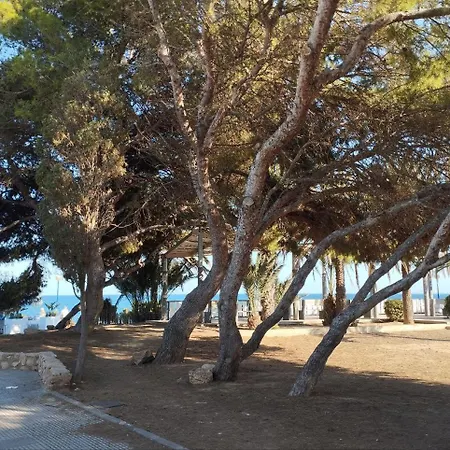 Appartamento Marsol Recoleta Torrevieja